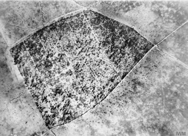 High Wood 1916, aerial image (IWM Q 55727)